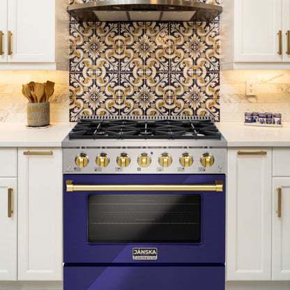 Blue Dansk stove with decorative backsplash in a kitchen setting
